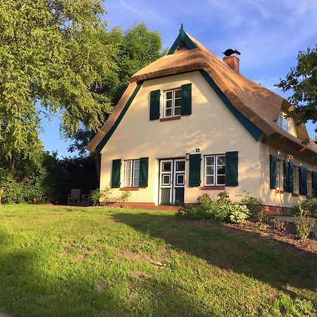 Ferienhaus Preetz 1A - Idylle Unter Reet Burtevitz Exterior foto