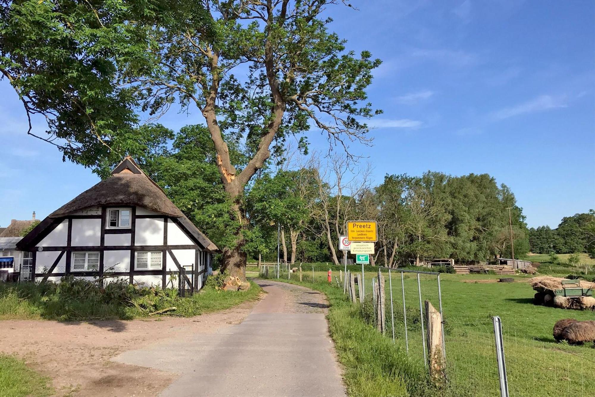 Ferienhaus Preetz 1A - Idylle Unter Reet Burtevitz Exterior foto